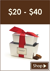 GIFTS: $20 to $40